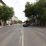 Vicky's Budapest